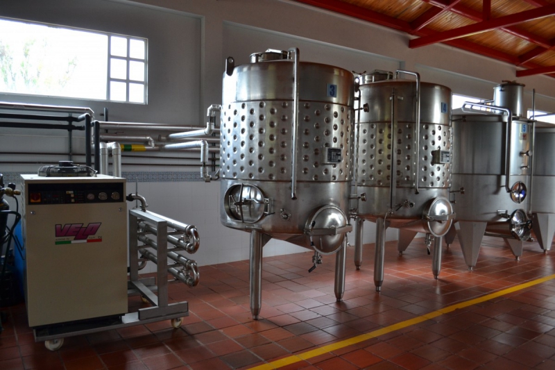 cave-TRIGANCE-min_wine_production_cantine_winery_drink_alcohol_vine_beverage-902036